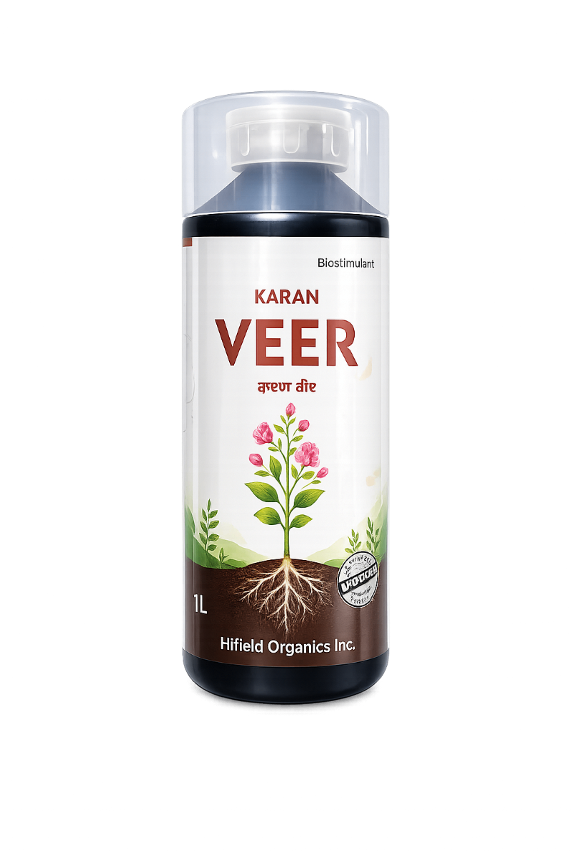 Karan Veer