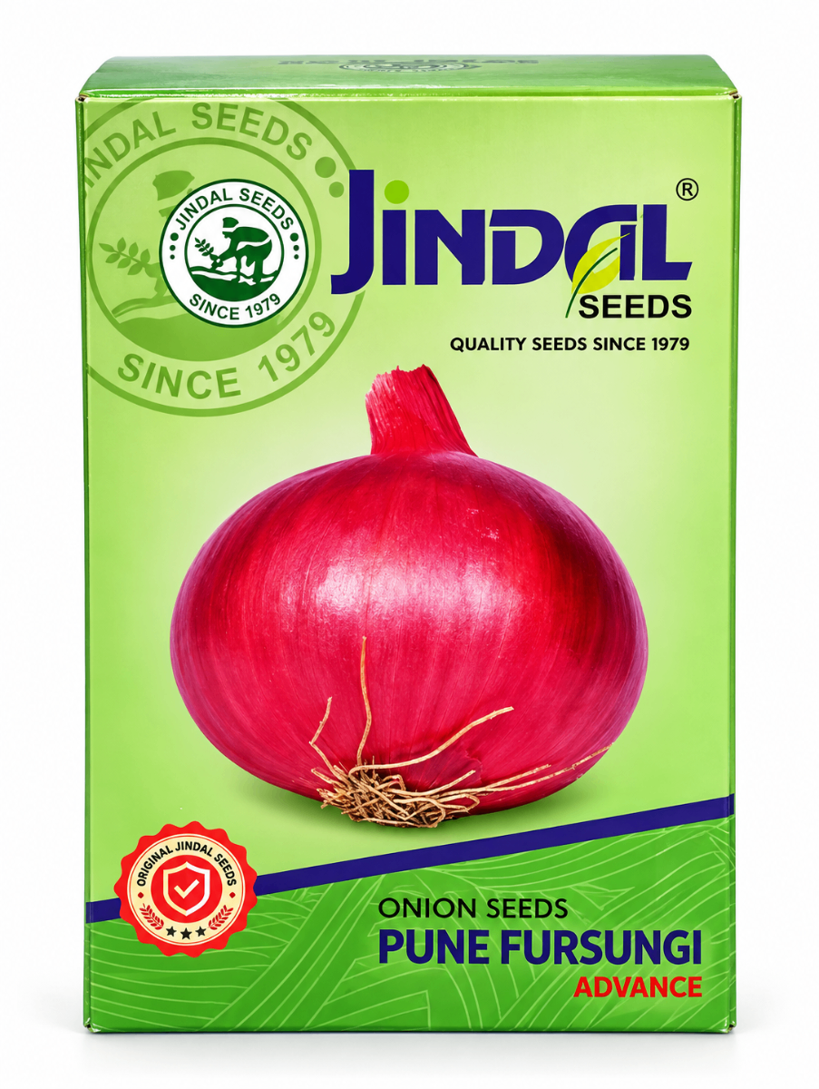 onion (pune fursungi advance)