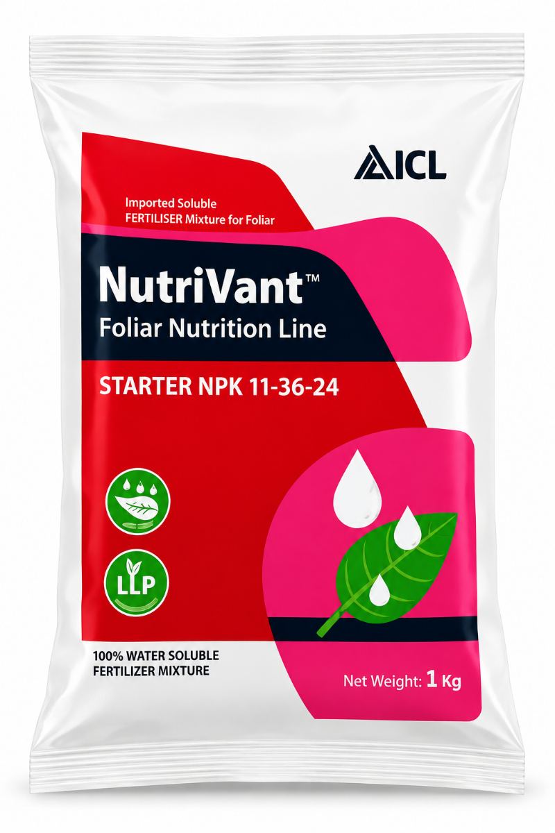 NutriVant 11:36:24.
