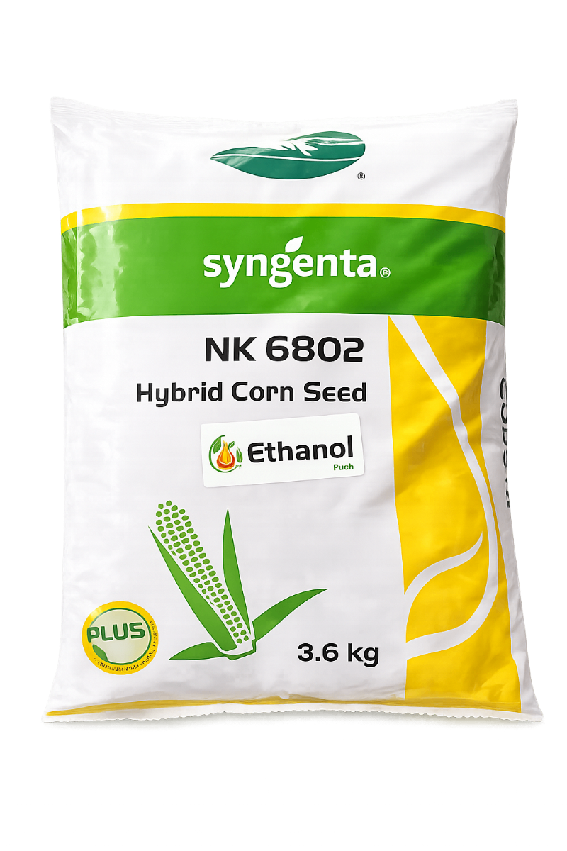 Syngenta NK 6802 Plus Hybrid Maize Seeds