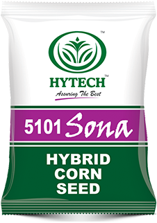 Hytech 5101 Sona