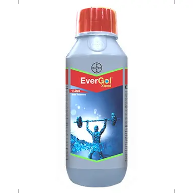 Bayer EverGol Xtend
