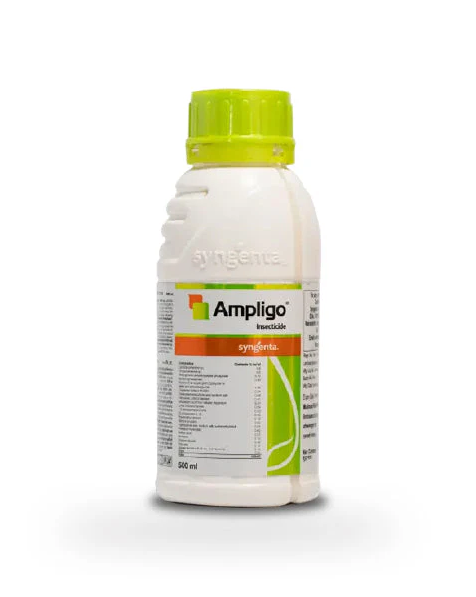 Ampligo Insecticide