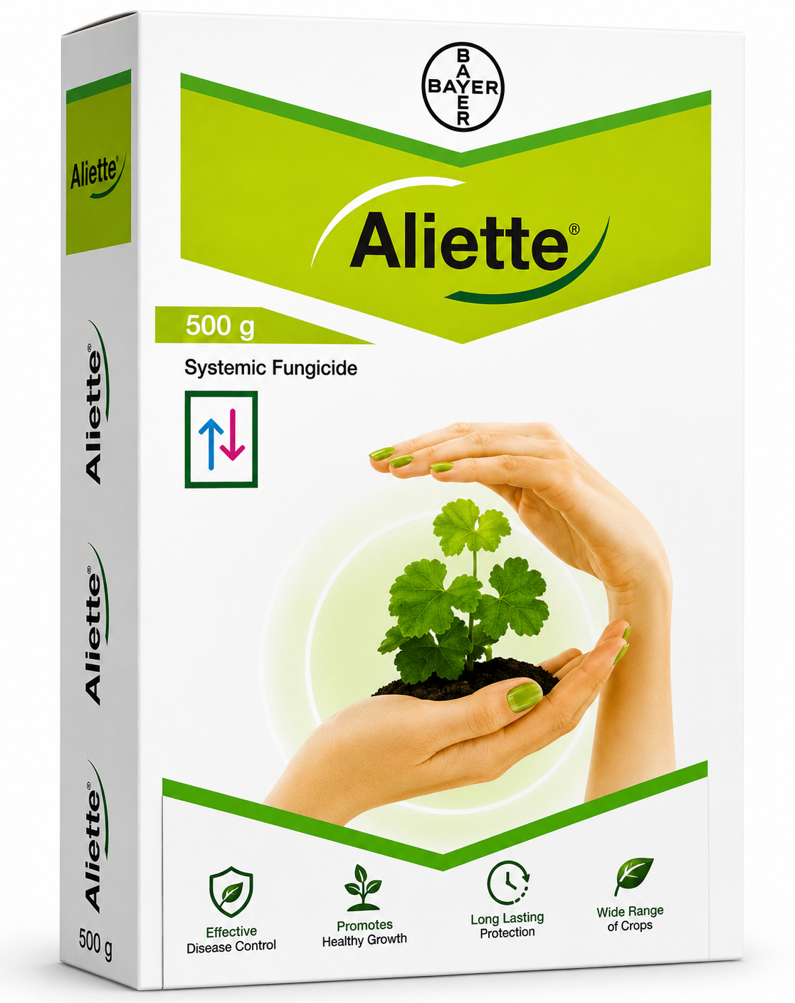 Aliette