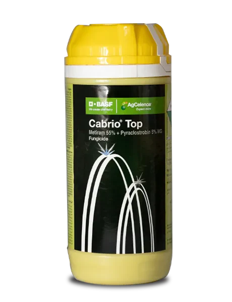 Cabrio Top