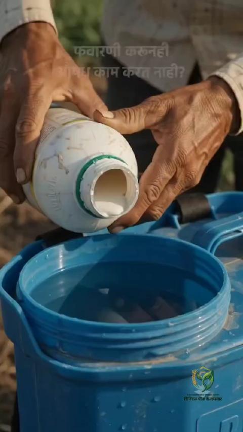 पाणी