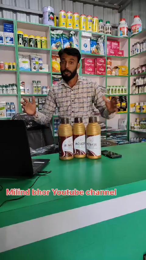 🧅 कांद्याची मान जाड, पोगर दमदार… रायझर गोल्डचा प्रभाव शानदार!