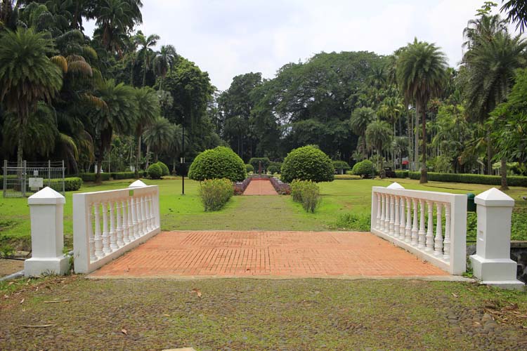 Kebun Raya | Spot Menarik Bogor