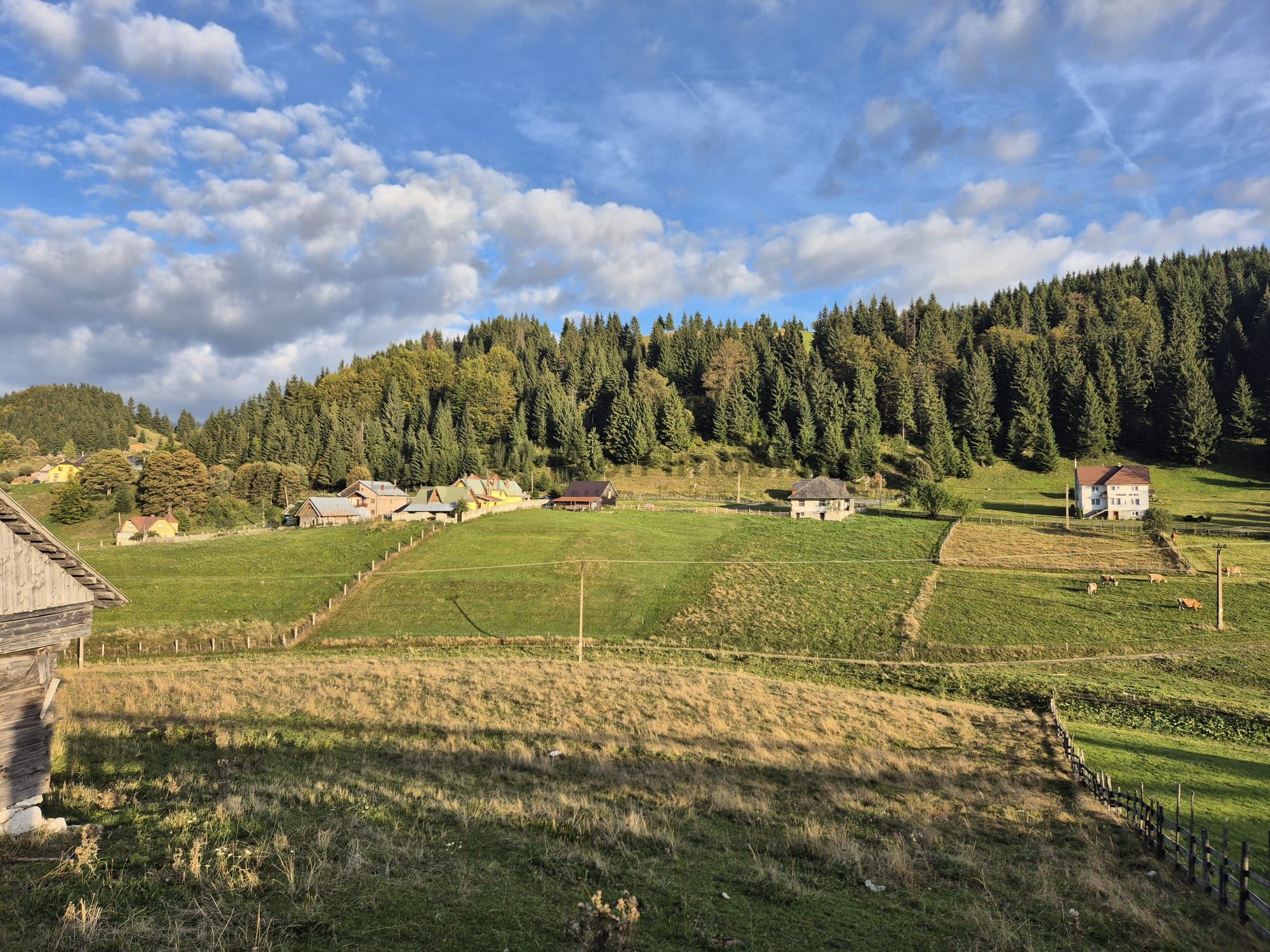 Teren intravilan de vânzare Fundata