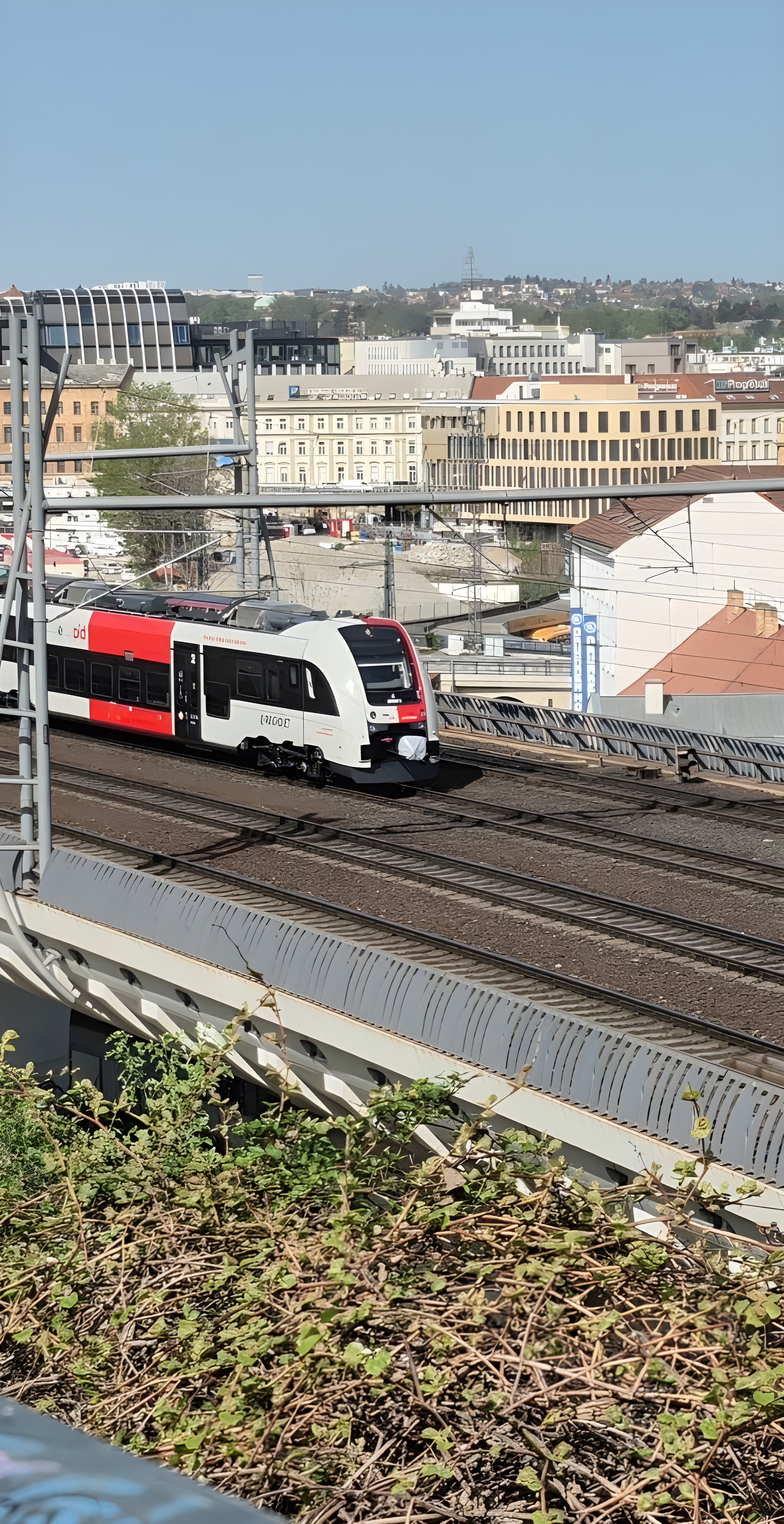 650