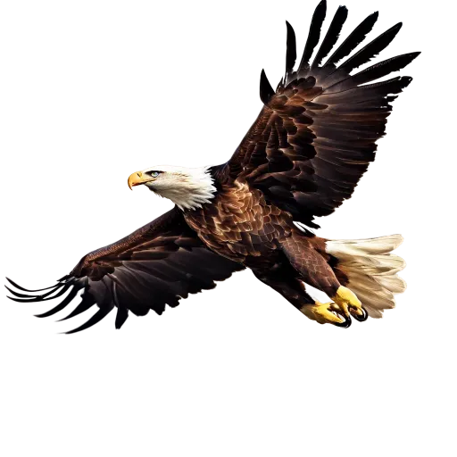 Image generated from Happy eagle flying


