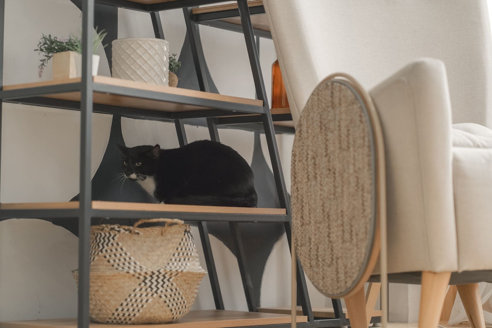 Kus in interior