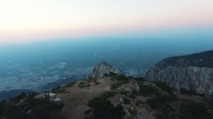link