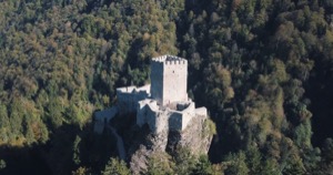 link