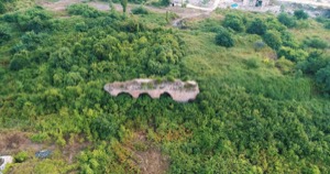 link