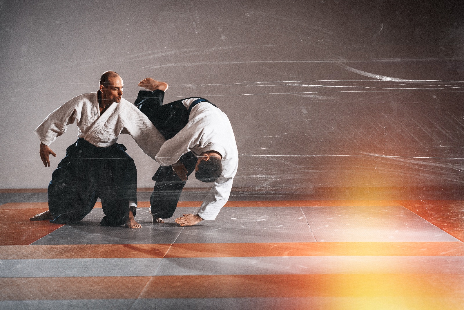 Aikido Ikšķilē un Ogrē