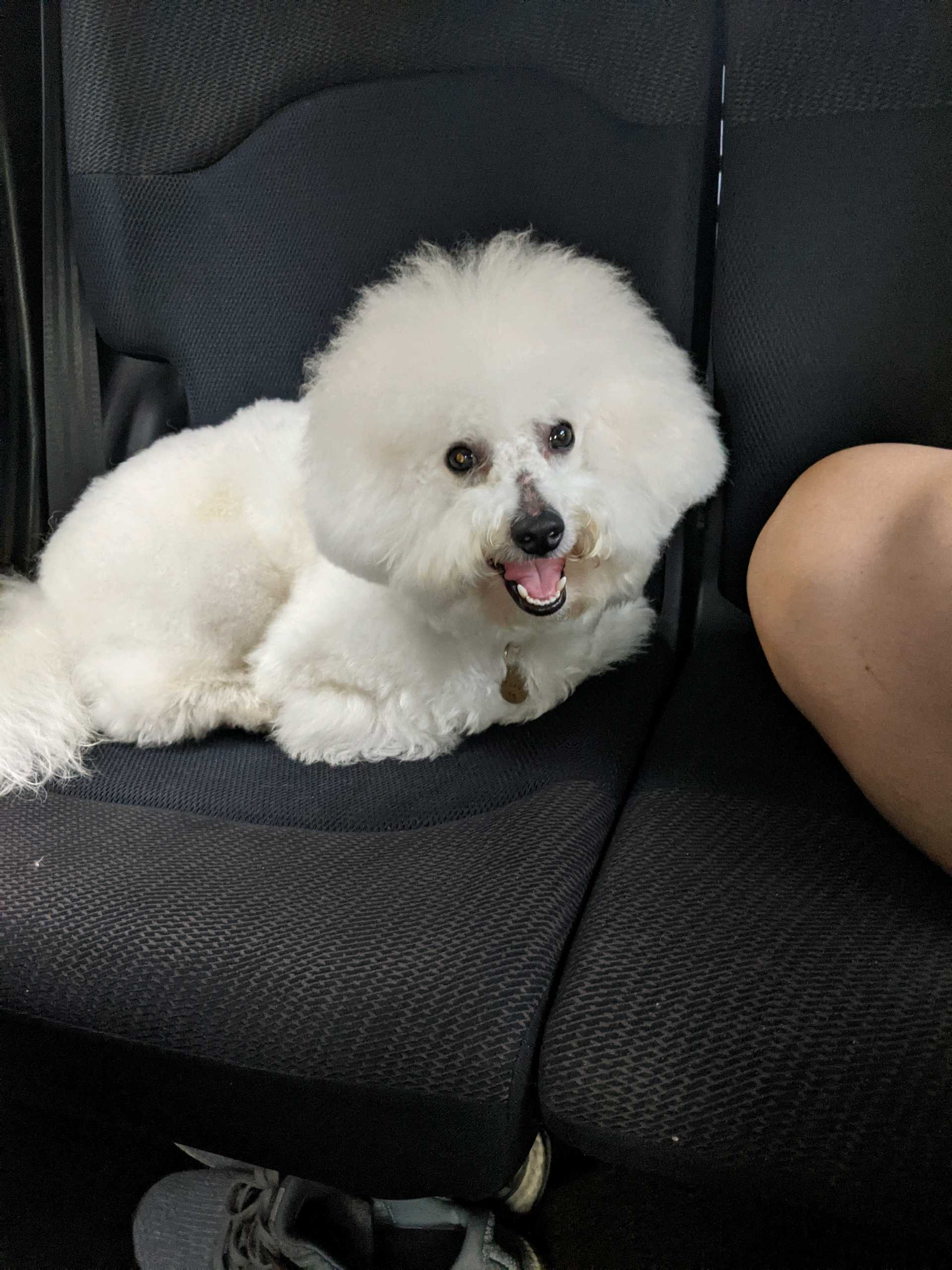 Profile picture for user R