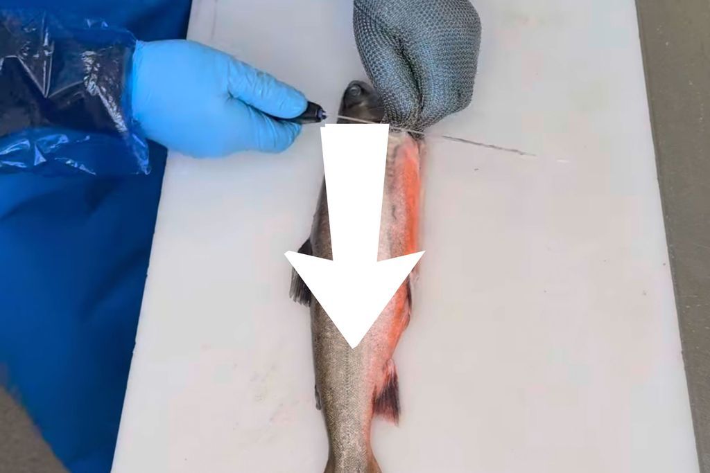 News post
