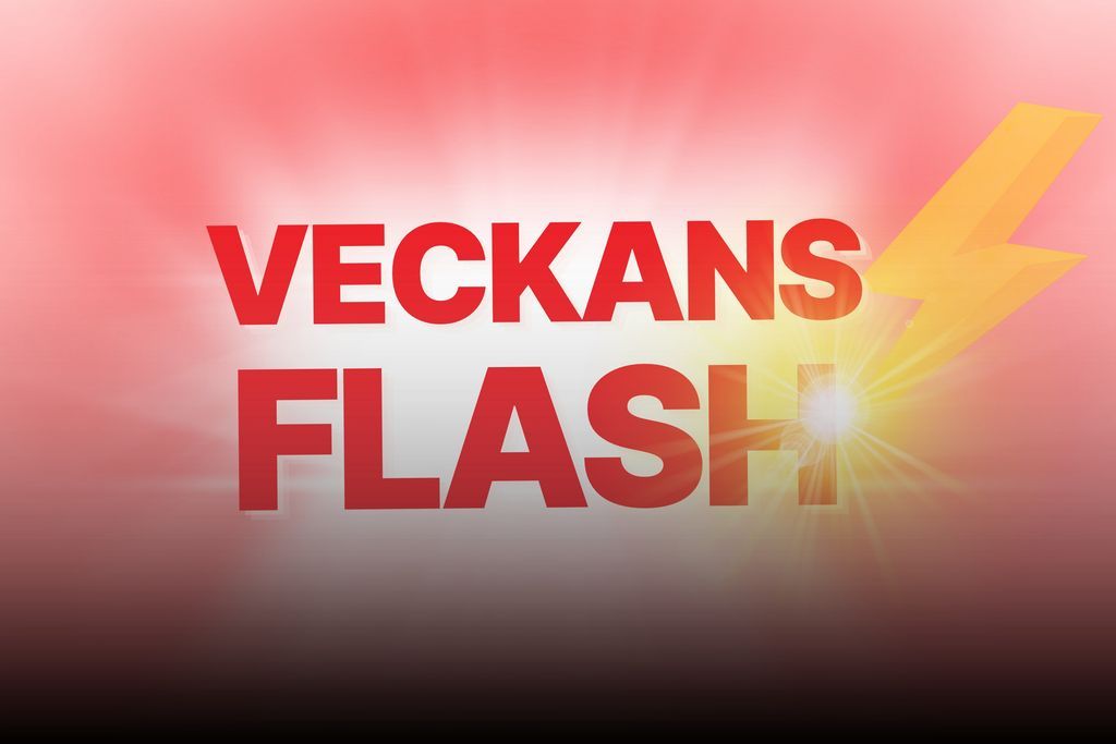Vi fyller på flashen med färsk fisk! 🐟