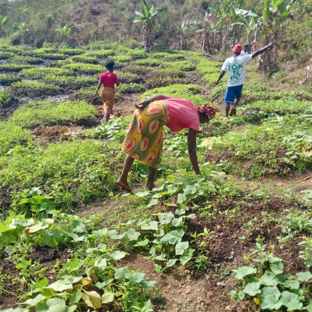 Photos from the field - Sierra Leone