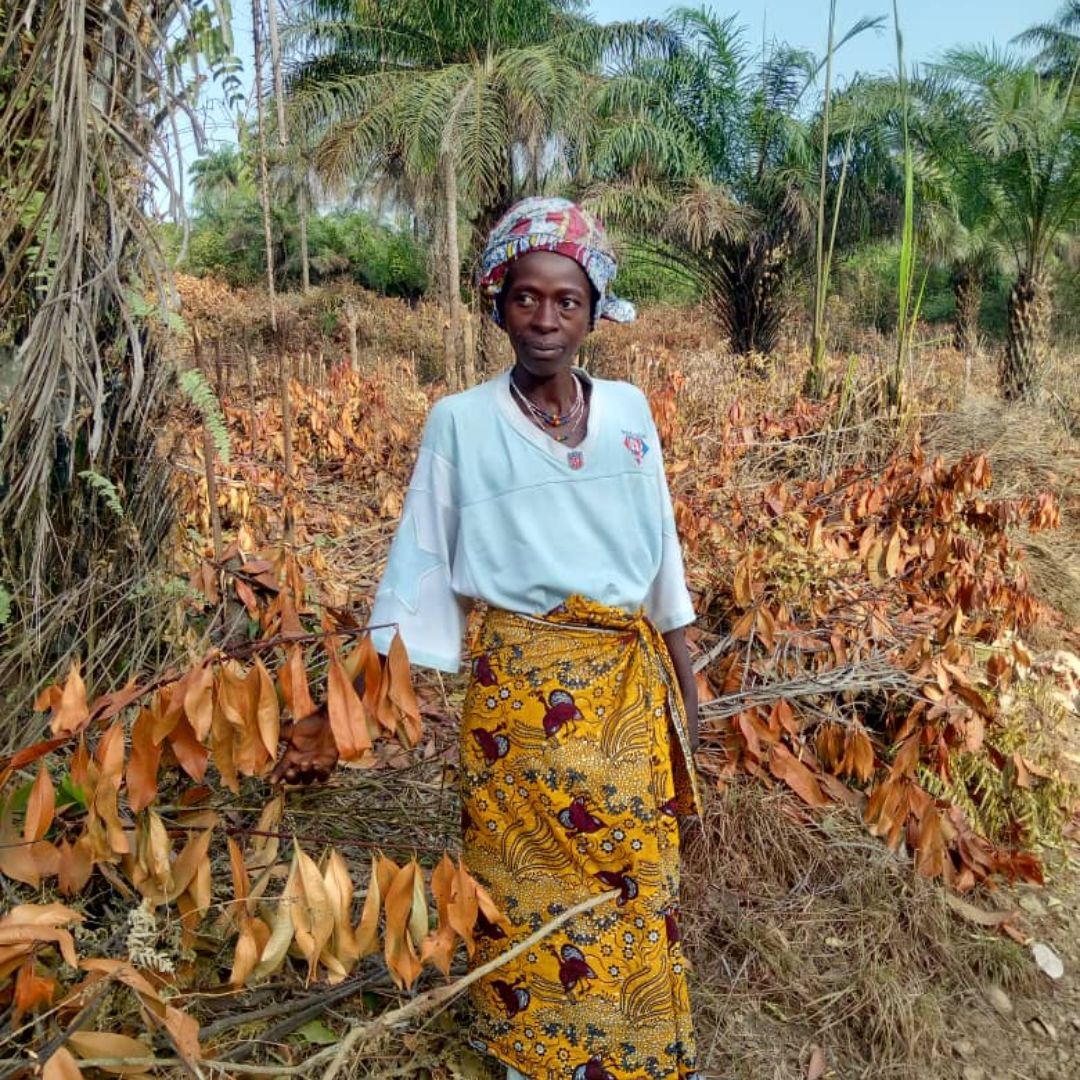 Photos from the field - Sierra Leone
