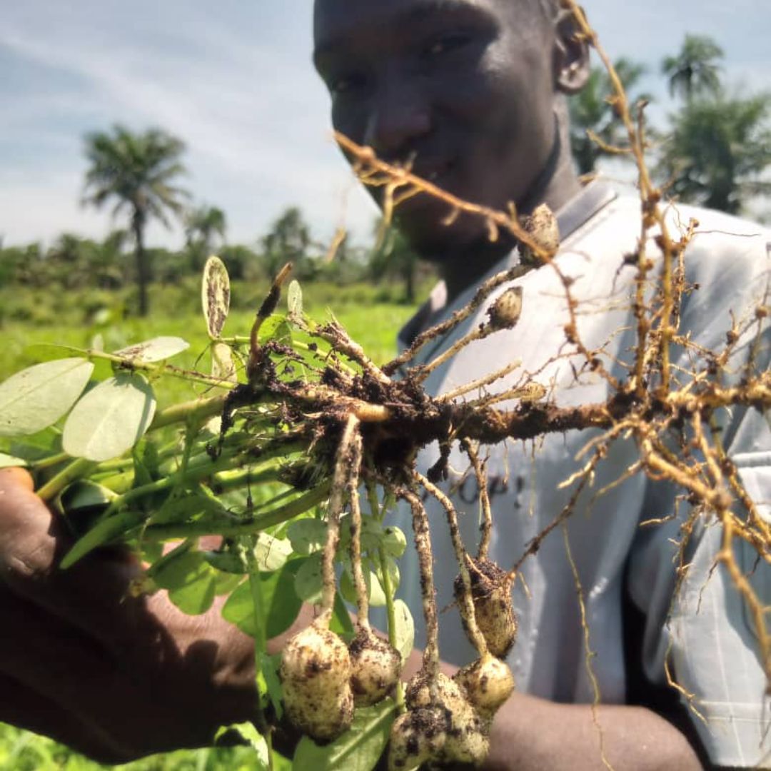 Image from Kwanda's second quarter report