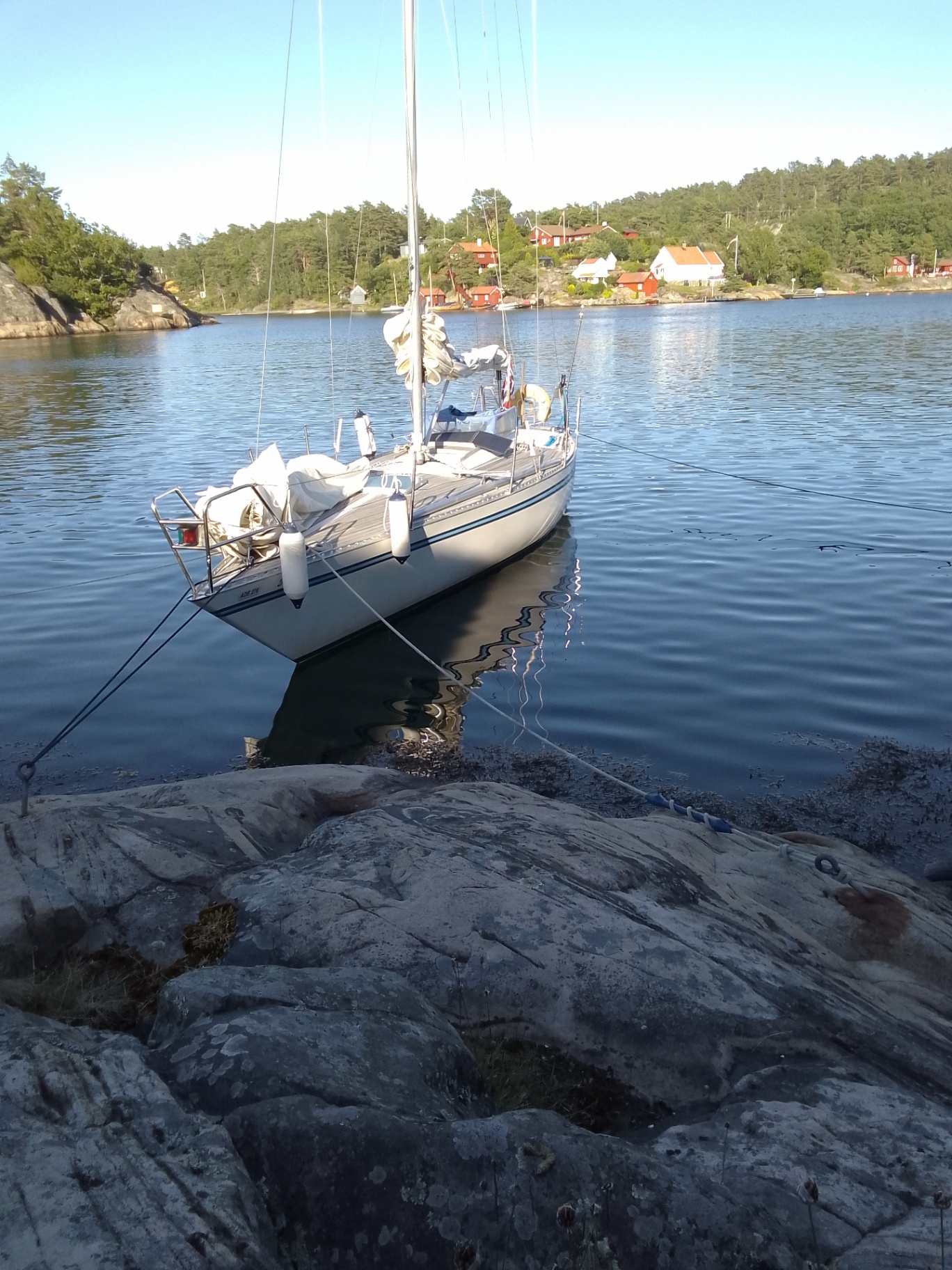 Aphrodite 101 | Kystmarked