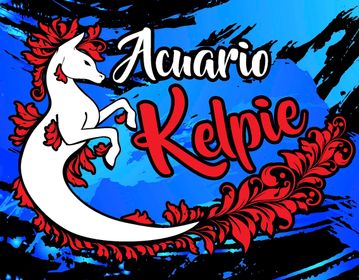 Acuario kelpie