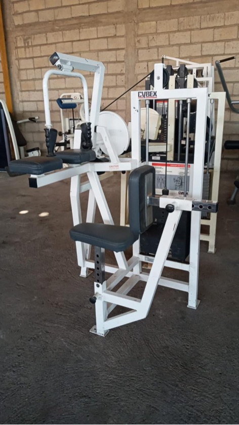 Cybex Classic Leg Curl 