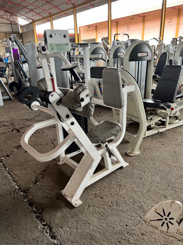 Flex Fitness Leg Curl