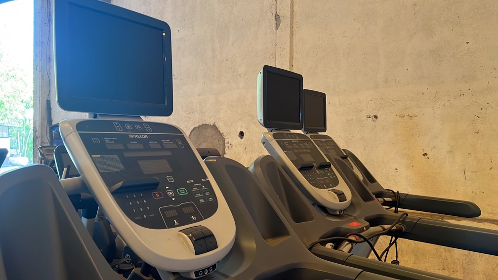 Precor 833 P30