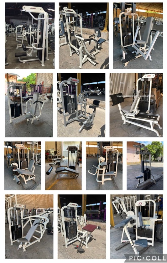 Life Fitness Pro One 13 Pzs