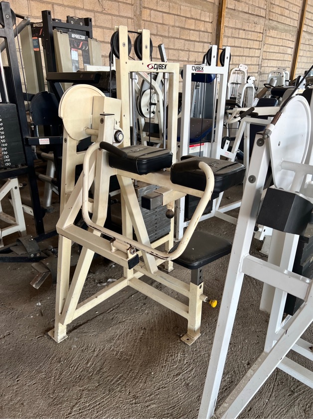 Cybex Classic Bíceps Curl 