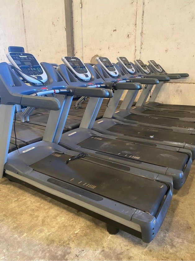 Precor 833 P30