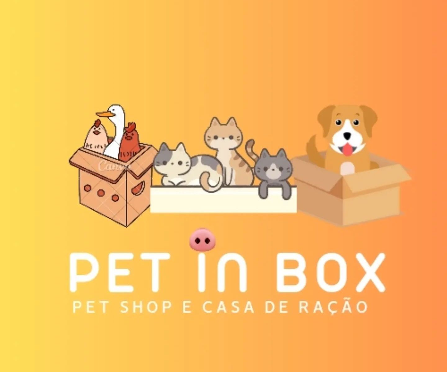 Pet in Box