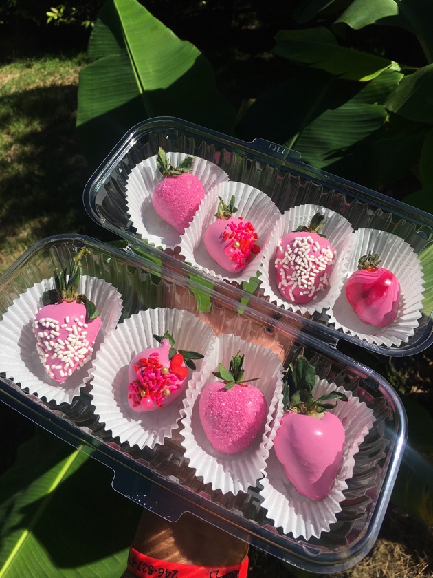 12 Chocolate Covered Strawberries (Coloured)