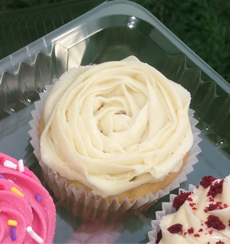 Two Vanilla Cupcakes