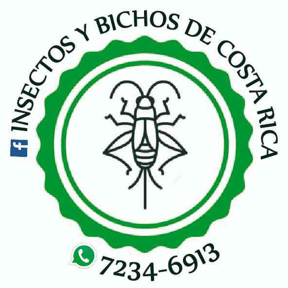Insectos y Bichos CR/ Aqua Ticos CR