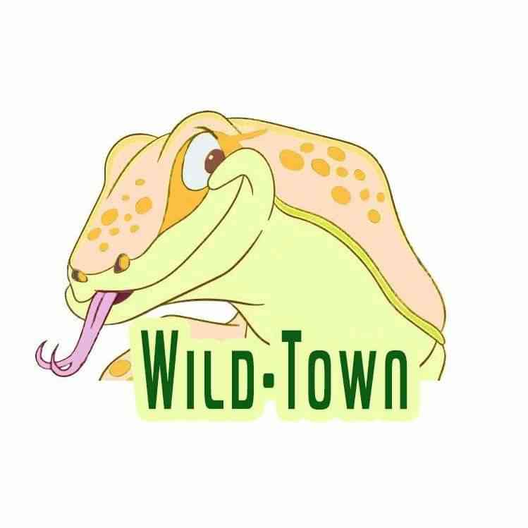 Wild-Town