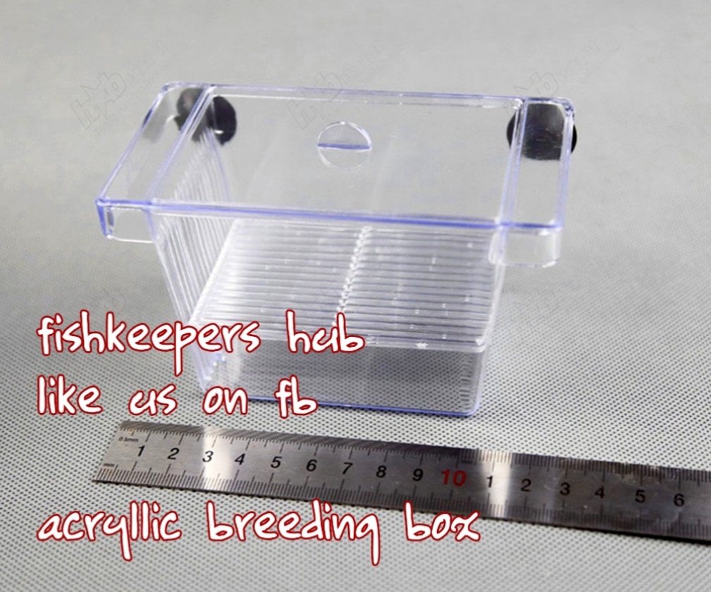 Acryllic Breeding Box