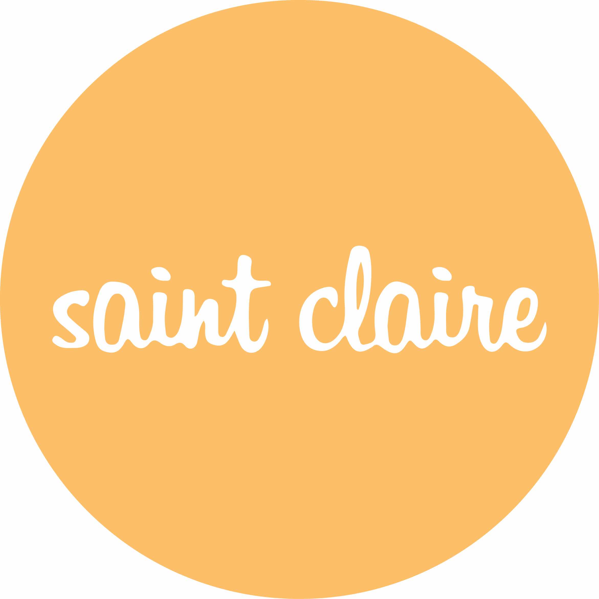 Saint Claire Joias