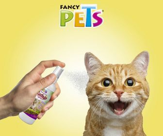 Catnip spray para gatos 125ml Fancy Pets