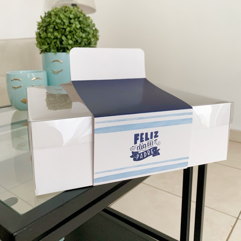 6 Cajas con solapa  10x10x3