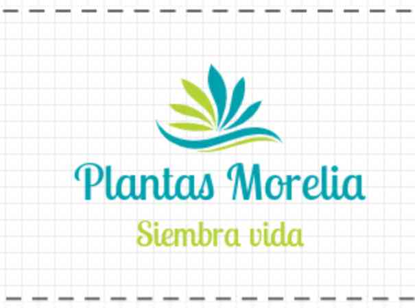 Plantasmorelia