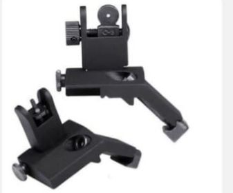 Canted Iron Sights