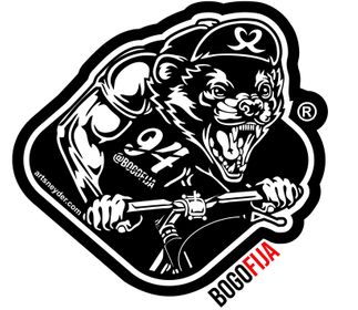 bogofija