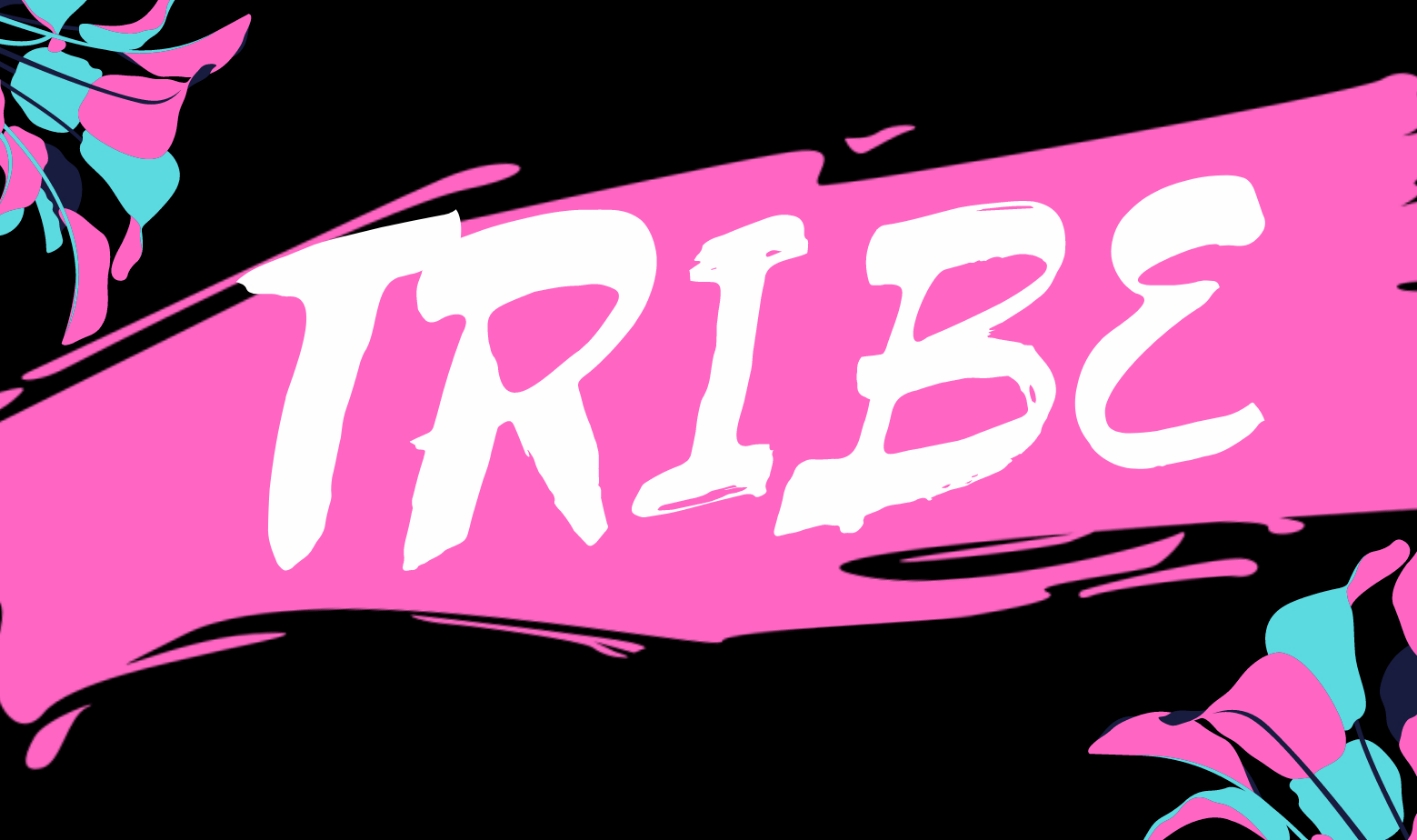 TRIBE Barbados