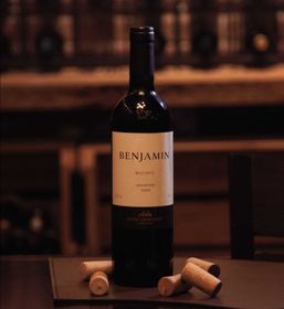 [Nieto Senentiner] Vinho Tinto Seco Benjamin Malbec 750mL [Argentina]