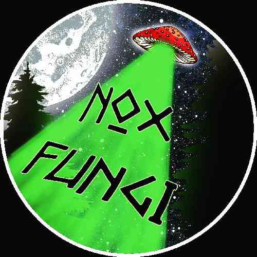 Fungheria Nox Fungi