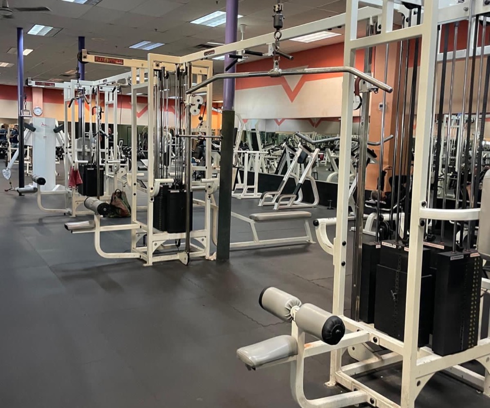 Jungle 12 Flex Fitness